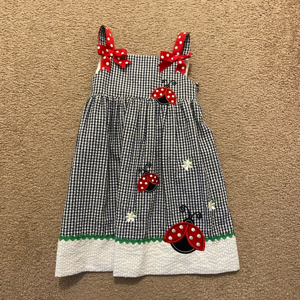 Lady bug Dress